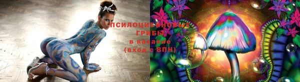 бошки Арсеньев