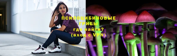 бошки Арсеньев