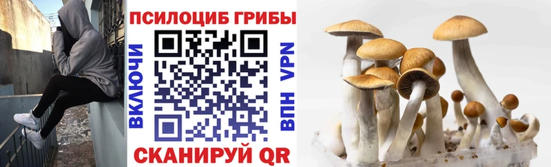 Псилоцибиновые грибы мицелий  где можно купить   Ивдель 